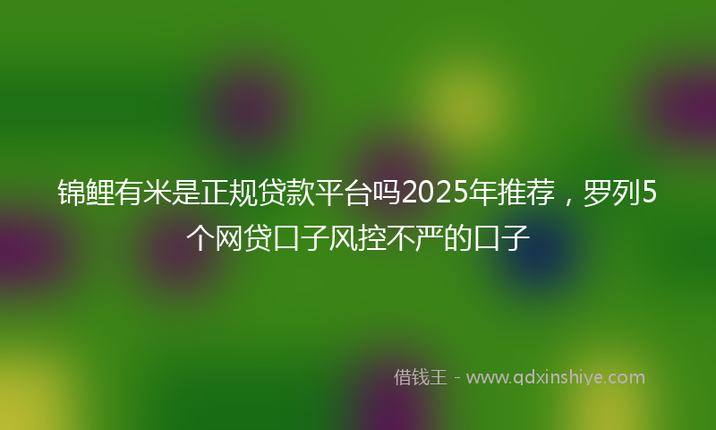 锦鲤有米是正规贷款平台吗2025年推荐，罗列5个网贷口子风控不严的口子