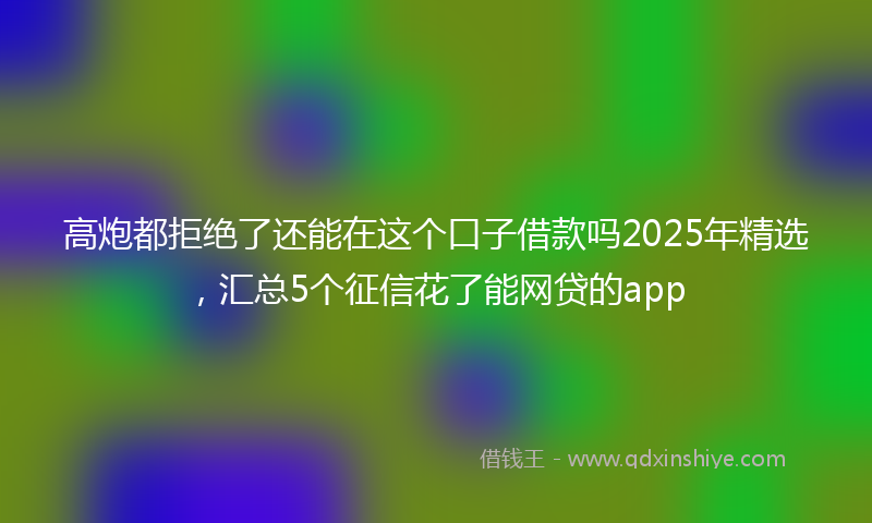 高炮都拒绝了还能在这个口子借款吗2025年精选，汇总5个征信花了能网贷的app