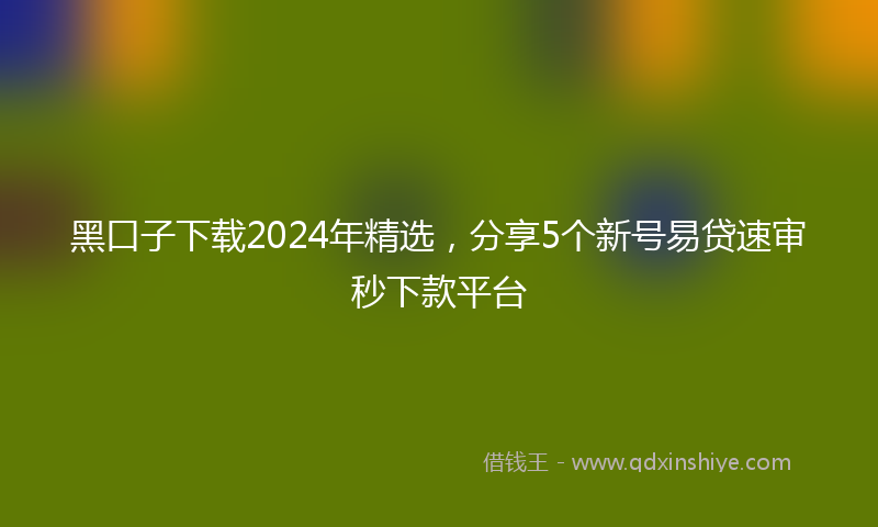 黑口子下载2024年精选，分享5个新号易贷速审秒下款平台