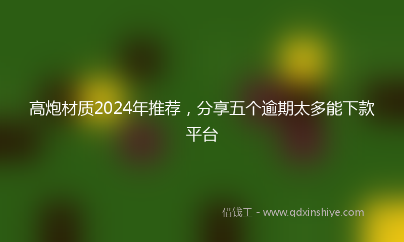 高炮材质2024年推荐，分享五个逾期太多能下款平台