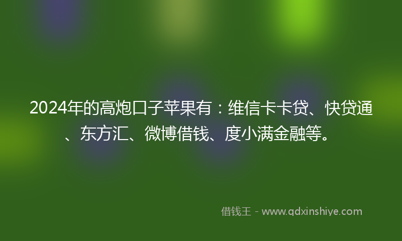 2024年的高炮口子苹果有：维信卡卡贷、快贷通、东方汇、微博借钱、度小满金融等。