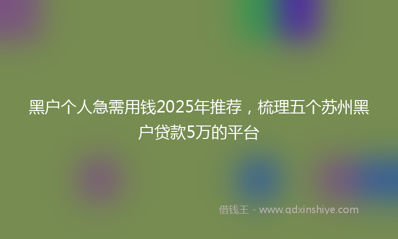 黑户个人急需用钱2025年推荐，梳理五个苏州黑户贷款5万的平台