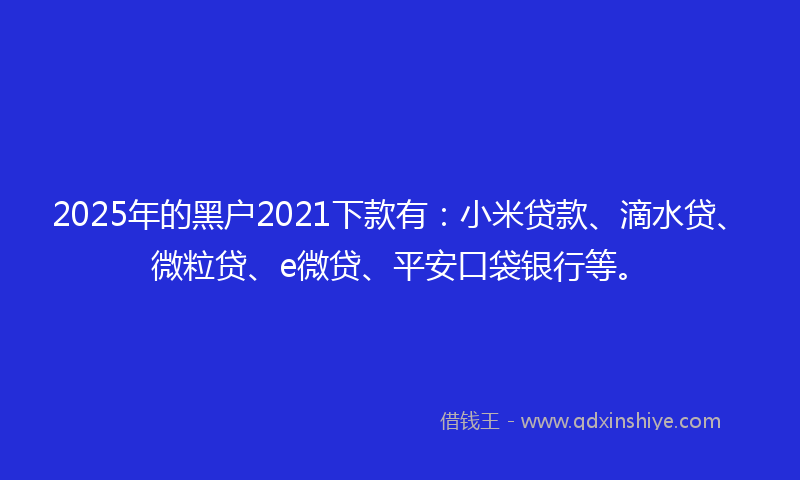 2025年的黑户2021下款有：小米贷款、滴水贷、微粒贷、e微贷、平安口袋银行等。