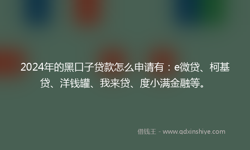 2024年的黑口子贷款怎么申请有：e微贷、柯基贷、洋钱罐、我来贷、度小满金融等。