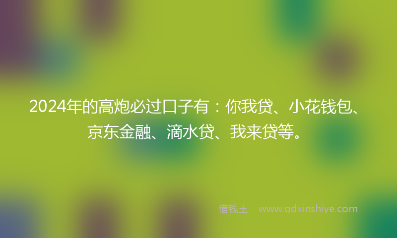 2024年的高炮必过口子有：你我贷、小花钱包、京东金融、滴水贷、我来贷等。