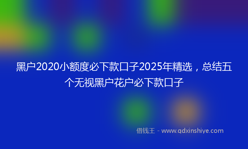 黑户2020小额度必下款口子2025年精选，总结五个无视黑户花户必下款口子