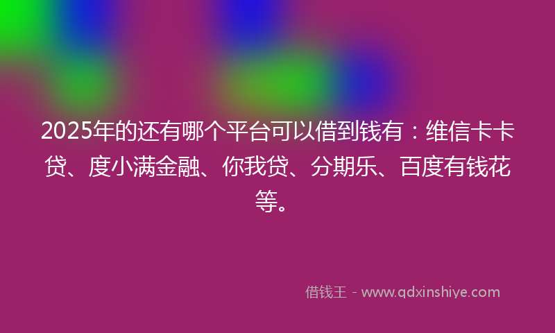 2025年的还有哪个平台可以借到钱有：维信卡卡贷、度小满金融、你我贷、分期乐、百度有钱花等。