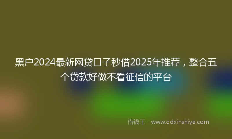 黑户2024最新网贷口子秒借2025年推荐，整合五个贷款好做不看征信的平台