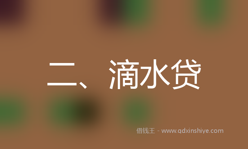 二、滴水贷