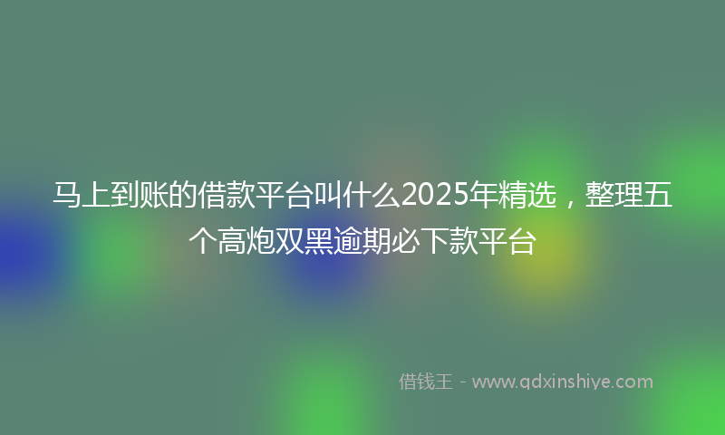 马上到账的借款平台叫什么2025年精选，整理五个高炮双黑逾期必下款平台