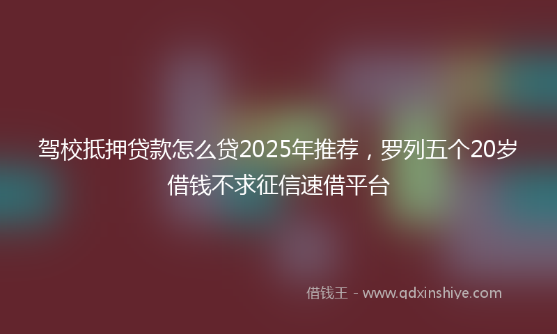 驾校抵押贷款怎么贷2025年推荐，罗列五个20岁借钱不求征信速借平台