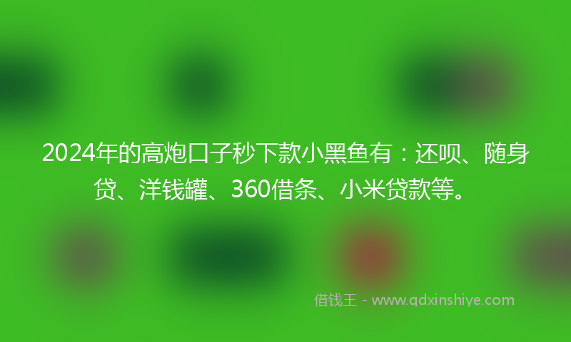 2024年的高炮口子秒下款小黑鱼有：还呗、随身贷、洋钱罐、360借条、小米贷款等。