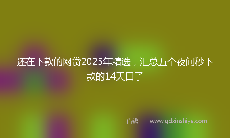 还在下款的网贷2025年精选，汇总五个夜间秒下款的14天口子