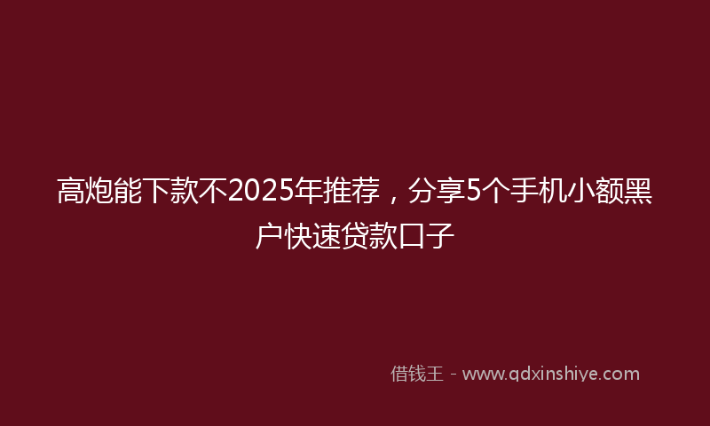 高炮能下款不2025年推荐，分享5个手机小额黑户快速贷款口子
