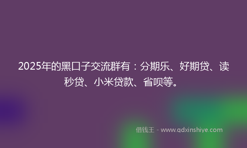 2025年的黑口子交流群有：分期乐、好期贷、读秒贷、小米贷款、省呗等。