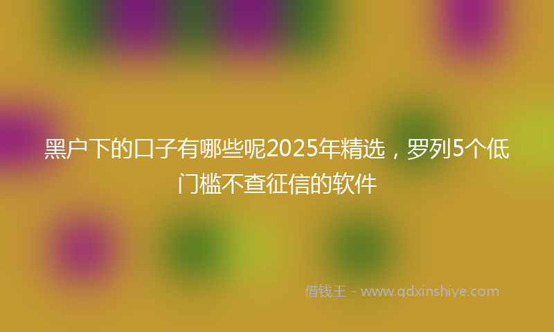 黑户下的口子有哪些呢2025年精选，罗列5个低门槛不查征信的软件