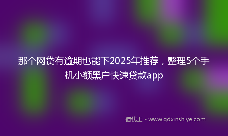 那个网贷有逾期也能下2025年推荐，整理5个手机小额黑户快速贷款app