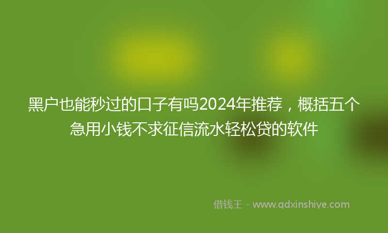 黑户也能秒过的口子有吗2024年推荐，概括五个急用小钱不求征信流水轻松贷的软件