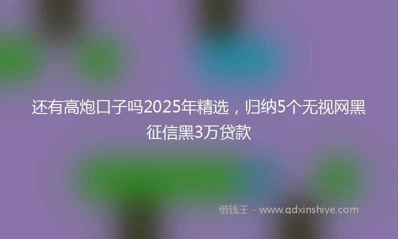 还有高炮口子吗2025年精选，归纳5个无视网黑征信黑3万贷款