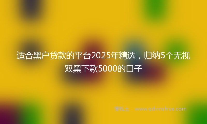 适合黑户贷款的平台2025年精选，归纳5个无视双黑下款5000的口子