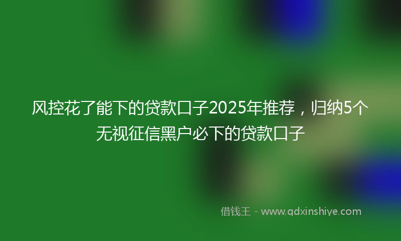 风控花了能下的贷款口子2025年推荐，归纳5个无视征信黑户必下的贷款口子