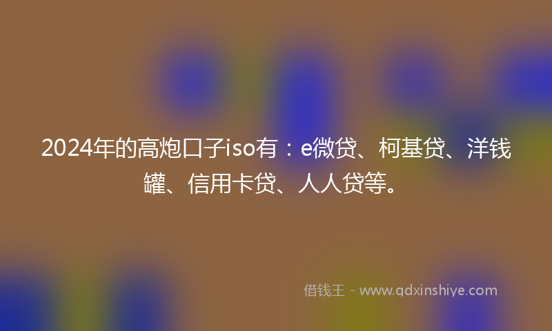 2024年的高炮口子iso有：e微贷、柯基贷、洋钱罐、信用卡贷、人人贷等。