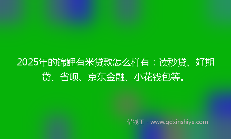 2025年的锦鲤有米贷款怎么样有：读秒贷、好期贷、省呗、京东金融、小花钱包等。
