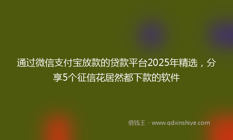 通过微信支付宝放款的贷款平台2025年精选，分享5个征信花居然都下款的软件