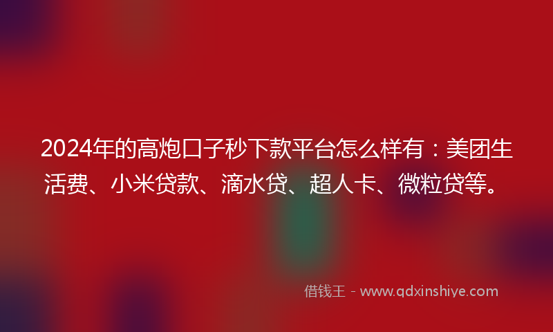 2024年的高炮口子秒下款平台怎么样有：美团生活费、小米贷款、滴水贷、超人卡、微粒贷等。