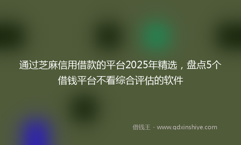 通过芝麻信用借款的平台2025年精选，盘点5个借钱平台不看综合评估的软件