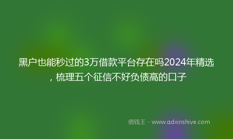 黑户也能秒过的3万借款平台存在吗2024年精选，梳理五个征信不好负债高的口子