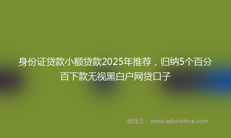 身份证贷款小额贷款2025年推荐，归纳5个百分百下款无视黑白户网贷口子