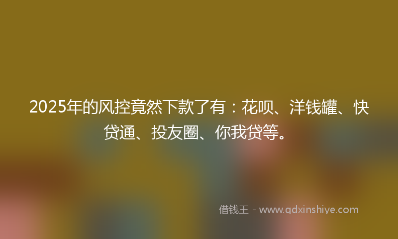 2025年的风控竟然下款了有：花呗、洋钱罐、快贷通、投友圈、你我贷等。