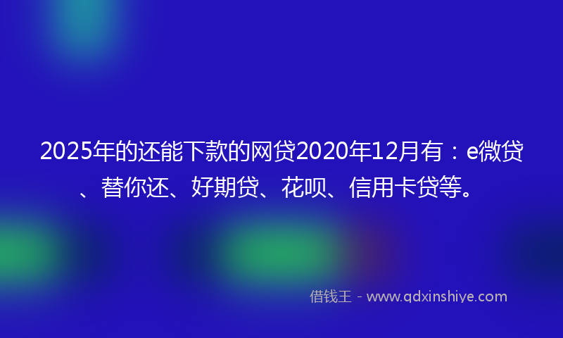 2025年的还能下款的网贷2020年12月有：e微贷、替你还、好期贷、花呗、信用卡贷等。