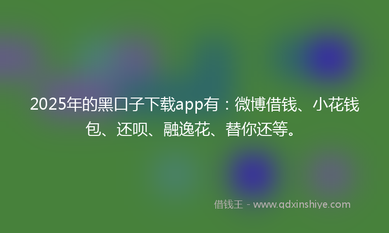 2025年的黑口子下载app有：微博借钱、小花钱包、还呗、融逸花、替你还等。