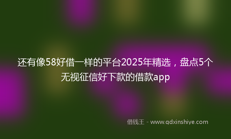 还有像58好借一样的平台2025年精选，盘点5个无视征信好下款的借款app