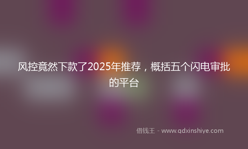风控竟然下款了2025年推荐，概括五个闪电审批的平台