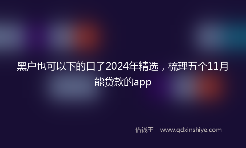 黑户也可以下的口子2024年精选，梳理五个11月能贷款的app