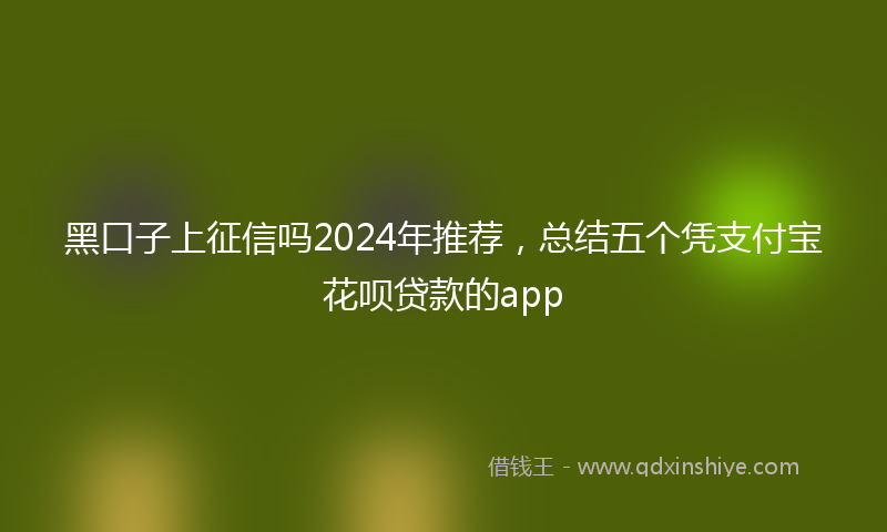 黑口子上征信吗2024年推荐，总结五个凭支付宝花呗贷款的app