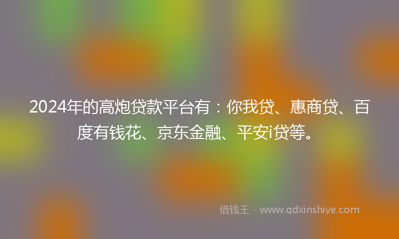 2024年的高炮贷款平台有：你我贷、惠商贷、百度有钱花、京东金融、平安i贷等。