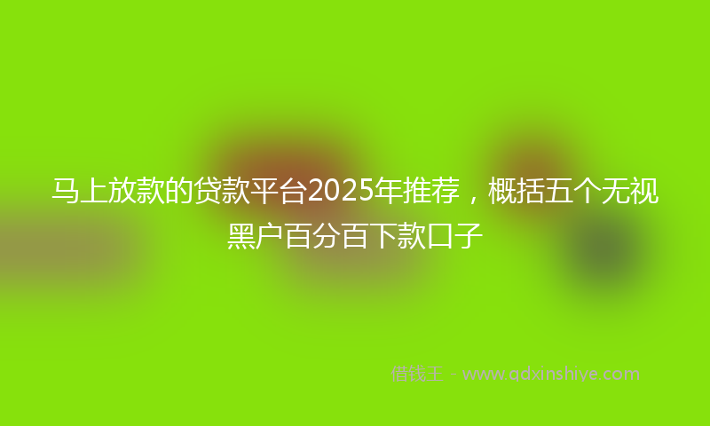 马上放款的贷款平台2025年推荐，概括五个无视黑户百分百下款口子