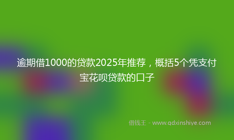 逾期借1000的贷款2025年推荐，概括5个凭支付宝花呗贷款的口子