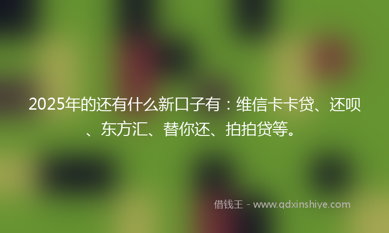 2025年的还有什么新口子有：维信卡卡贷、还呗、东方汇、替你还、拍拍贷等。