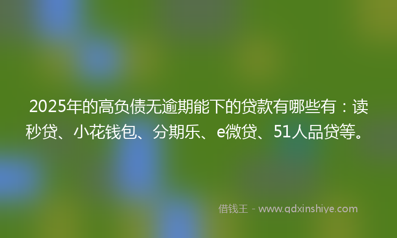 2025年的高负债无逾期能下的贷款有哪些有：读秒贷、小花钱包、分期乐、e微贷、51人品贷等。