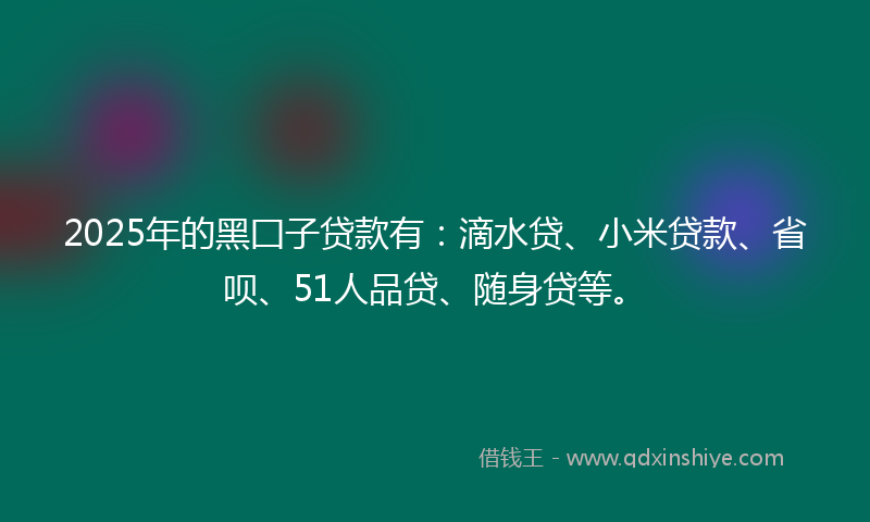 2025年的黑囗子贷款有：滴水贷、小米贷款、省呗、51人品贷、随身贷等。
