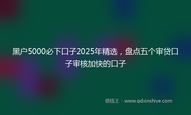 黑户5000必下口子2025年精选，盘点五个审贷口子审核加快的口子
