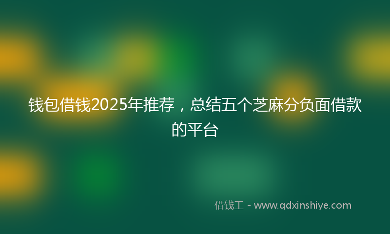 钱包借钱2025年推荐，总结五个芝麻分负面借款的平台