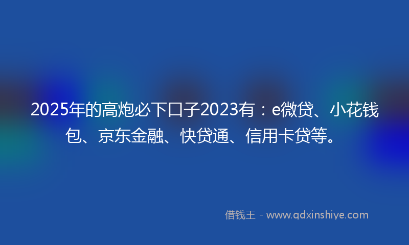 2025年的高炮必下口子2023有：e微贷、小花钱包、京东金融、快贷通、信用卡贷等。