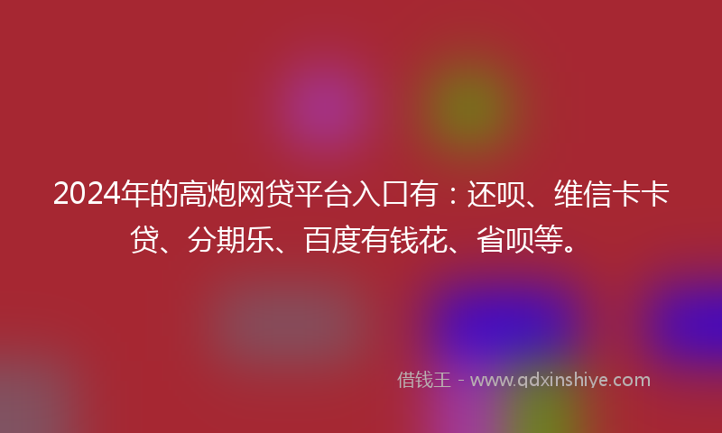 2024年的高炮网贷平台入口有：还呗、维信卡卡贷、分期乐、百度有钱花、省呗等。