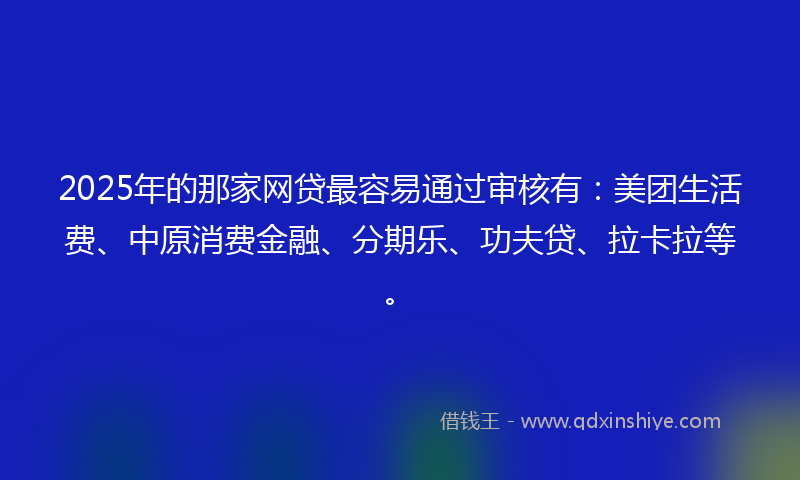 2025年的那家网贷最容易通过审核有：美团生活费、中原消费金融、分期乐、功夫贷、拉卡拉等。
